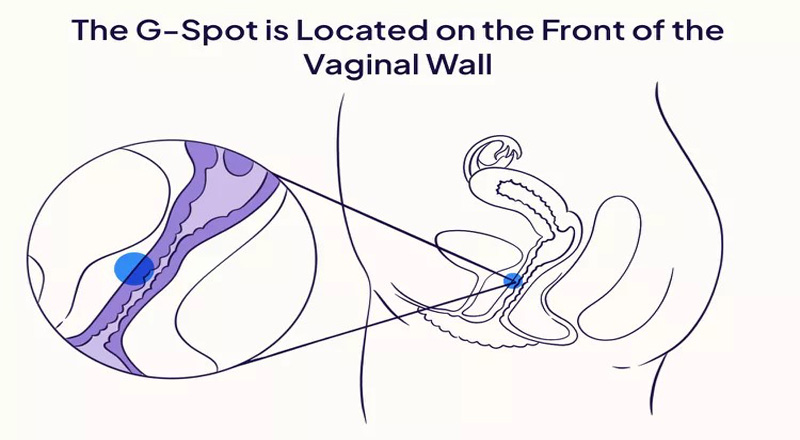 g-spot